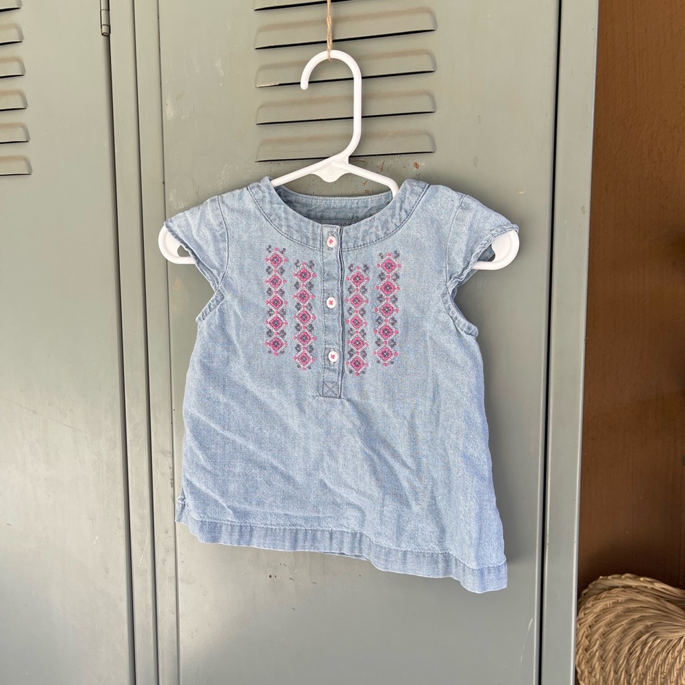 Carter's Blue and Pink Embroidered Blouse Matching Set